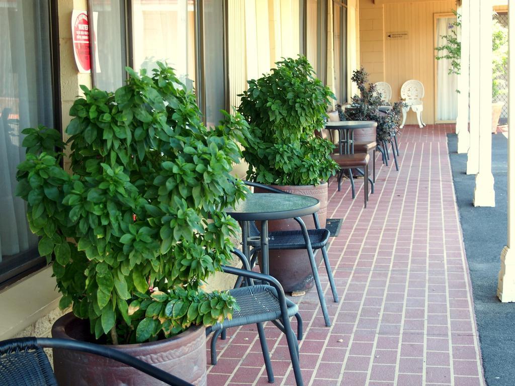 Murray River Motel Swan Hill Rum bild