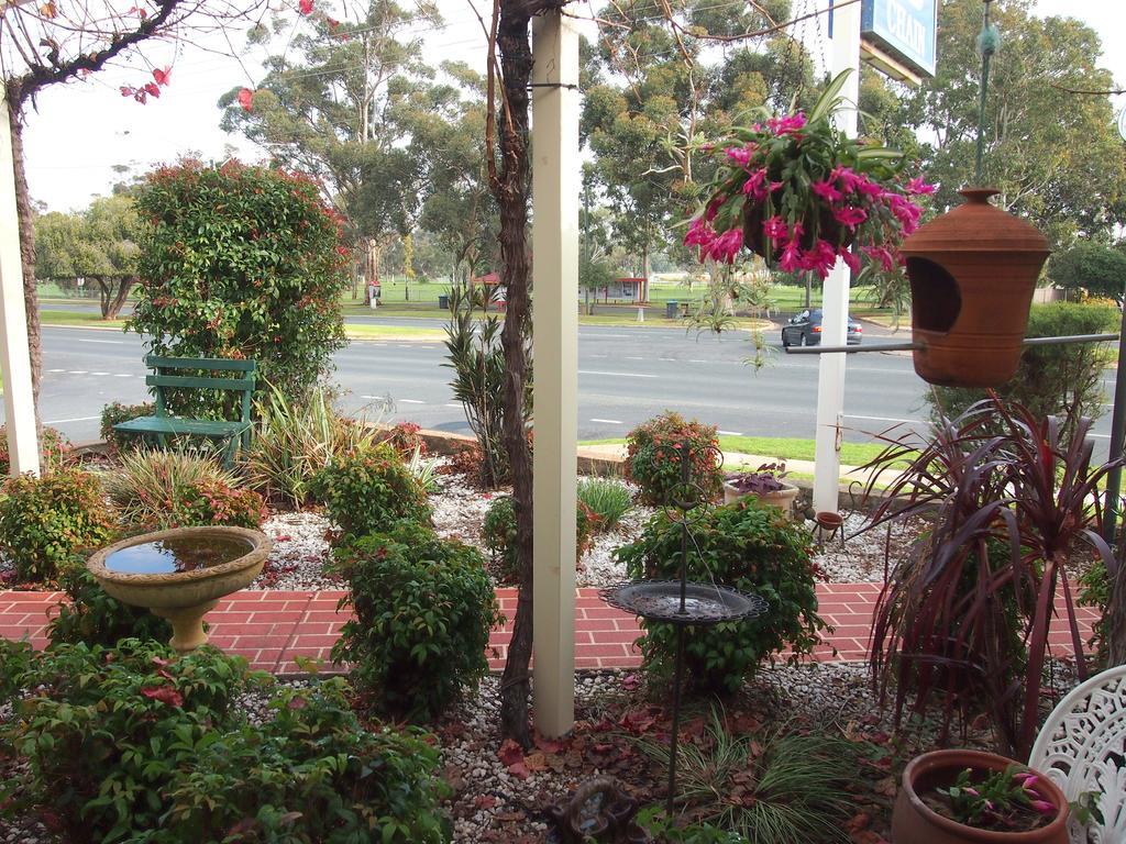 Murray River Motel Swan Hill Exteriör bild